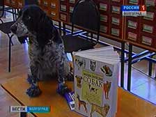 Волгоградским школьникам рассказали о профессии кинолога