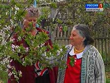 В Дубовском районе растет число приемных семей для пожилых