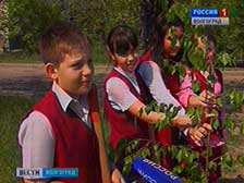 В Кировском районе высадили березовую аллею