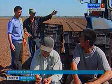В Волгоградской области проходит масштабный рейд по проверке сельхозтехники