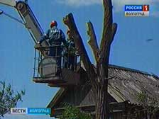 Волгоградские энергетики ликвидируют последствия ураганного ветра