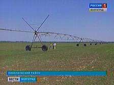 Сев кормовых культур в Заволжье приостановлен