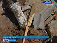 Дубовские власти оказались не готовы к ликвидации последствий урагана
