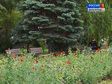 Волгоградские парки станут тематическими