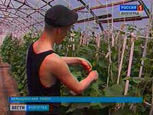 Детские колонии планируется преобразовать в воспитательные центры