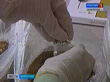 В Волгоградской области стартовала оперативно-профилактическая операция «Мак-2012»