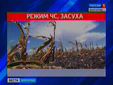В Волгоградской области в связи с засухой введен режим ЧС